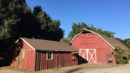 The Santa Clara Valley Audubon Society (SCVAS) is hosting a "Backyard Birds" fieldtrip on March 22.