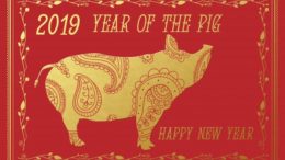 Tickets are available to attend the 2019 Lunar New Year Luncheon.
